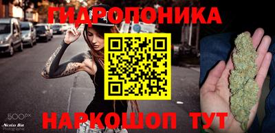 стафф Берёзовский