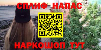 стафф Берёзовский