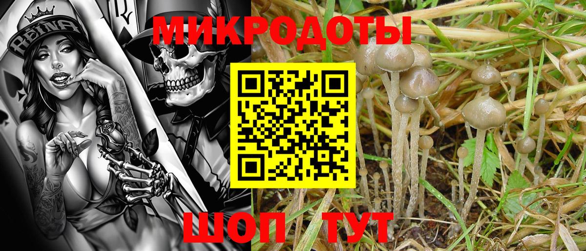 Галлюциногенные грибы мухоморы Казань