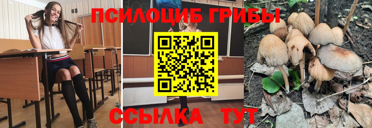 Галлюциногенные грибы MAGIC MUSHROOMS  Псилоцибиновые грибы мухоморы  Вход с VPN  Казань 